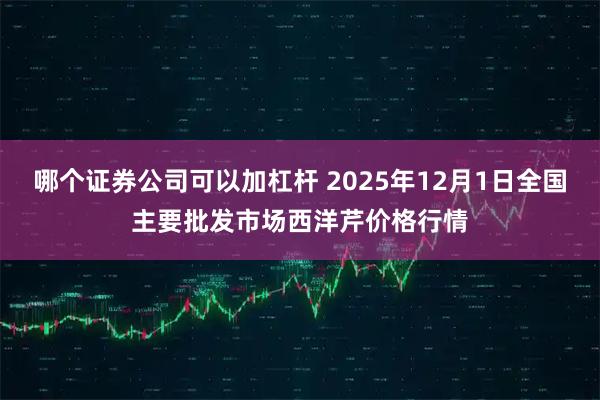 哪个证券公司可以加杠杆 2025年12月1日全国主要批发市场西洋芹价格行情