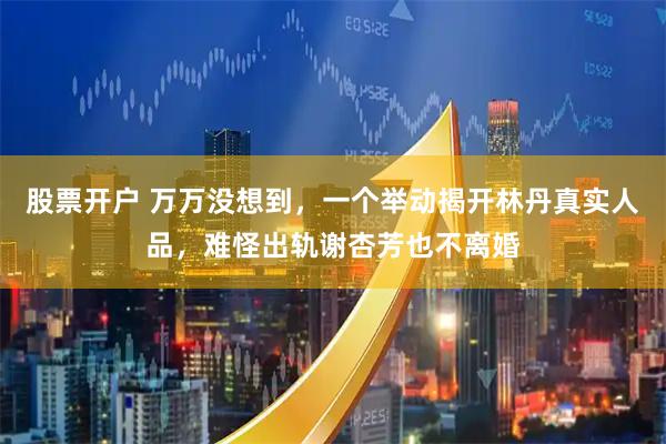 股票开户 万万没想到，一个举动揭开林丹真实人品，难怪出轨谢杏芳也不离婚