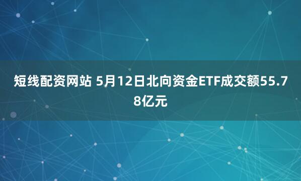 短线配资网站 5月12日北向资金ETF成交额55.78亿元